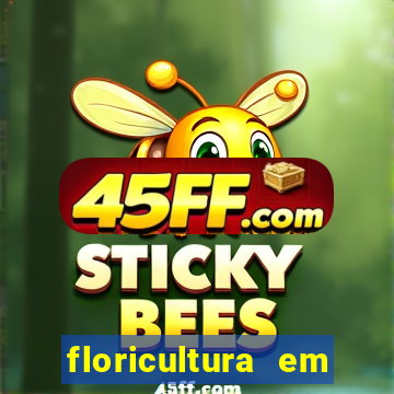 floricultura em franca sp